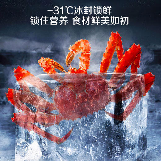 容声（Ronshen）460升法式多门四门风冷无霜双循环一级变频家用母婴净味节能可嵌入冰箱 BCD-460WKM1MPCQA青泽影 商品图2