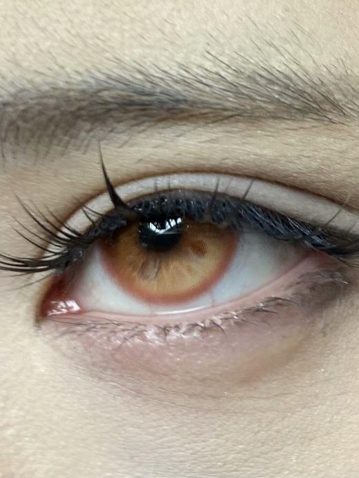 illusionDuck半年抛--晨迹海蝶 商品图12