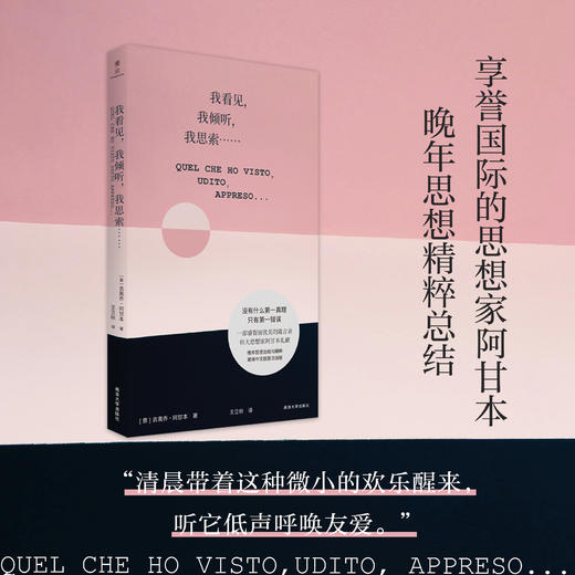 我看见，我倾听，我思索…… 阿甘本 晚年思想精粹总结 商品图3