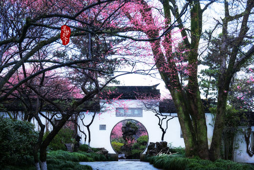 02.25确定出发【江南探梅】“梅”丽相约摄影6天采风团 商品图6