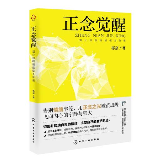正念觉醒：别让你的情绪毫无价值 商品图0