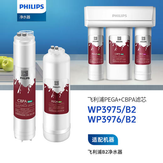  Philips/飞利浦B2/F1净水器滤芯常换两支滤芯组合【WP3975(B2)+WP3976(B2)】 商品图0