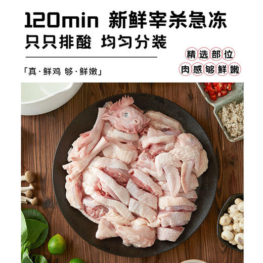 喜辉海南椰子鸡套餐 鲜甜可囗肉嫩汤鲜 海南椰肉椰水 散养走地鸡 珍珠马蹄 全套火锅鸡汤餐配料齐全 商品图2