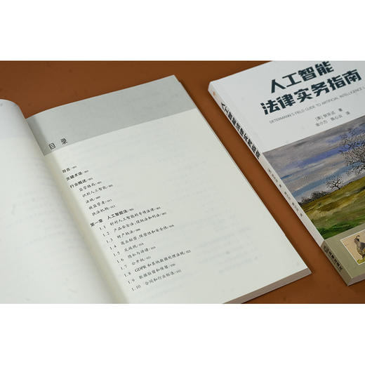 人工智能法律实务指南 狄乐达 法律出版社 商品图9