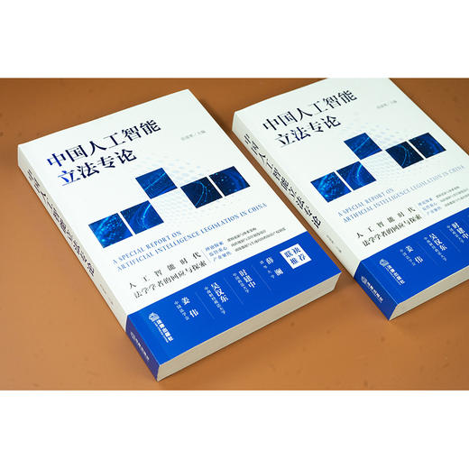 中国人工智能立法专论 张凌寒主编 法律出版社 商品图6