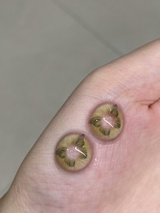 illusionDuck半年抛--春迹海蝶 商品图1