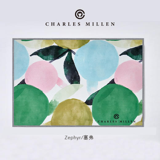 CM比利时绒防滑地垫 商品图4