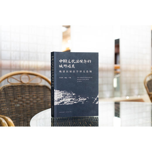 中国近代法观念的域外谱系：晚清民初法学译文选编 杜宴林 姚远主编 法律出版社 商品图7