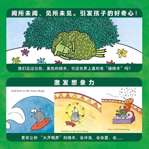 【点读版】双语绘本：绿绵羊在哪里（平） 商品图3