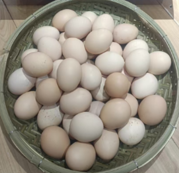 HM华贸刘大姐新鲜散养土鸡蛋(100枚/盒)（仅限湖北省内）