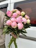 精品花材餐盘芍药花5支 商品缩略图3