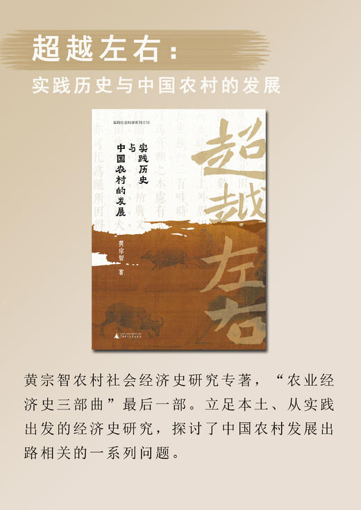 大学问   黄宗智教授著作集13卷   商品图1