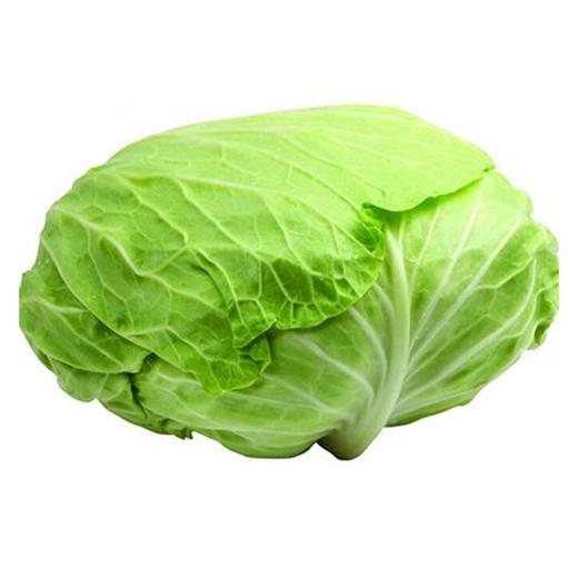 新鲜蔬菜-精品包菜500g 商品图0
