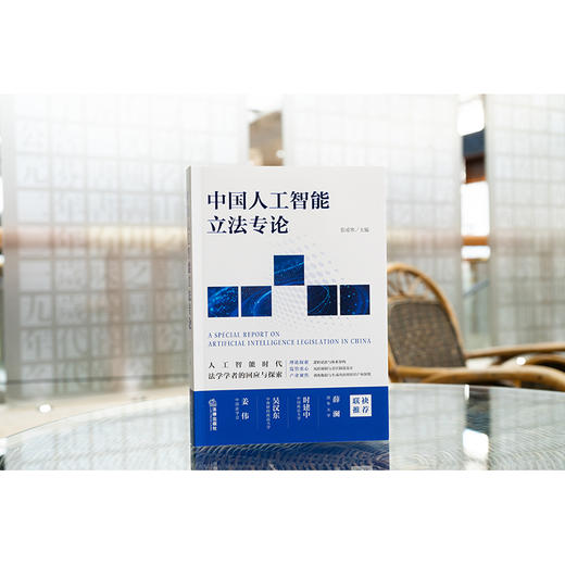 中国人工智能立法专论 张凌寒主编 法律出版社 商品图7