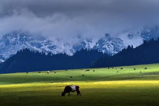 【新疆伊犁12天】绝美新疆 天山伊犁 草原花海深度行摄 商品图5