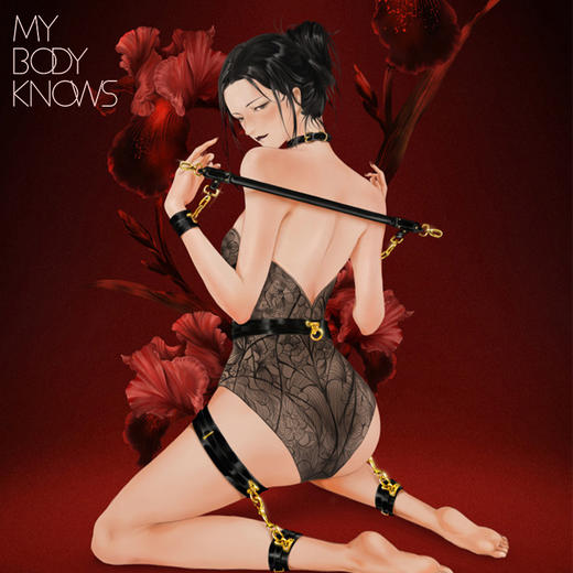 MBK&UPKO复乐园礼盒大套装捆绑用品情趣项圈手铐脚镣SP脚拷束缚玩具 商品图2