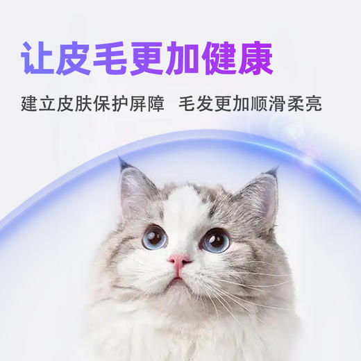 宠立信 猫咪专用益生菌 2g*10袋 商品图2