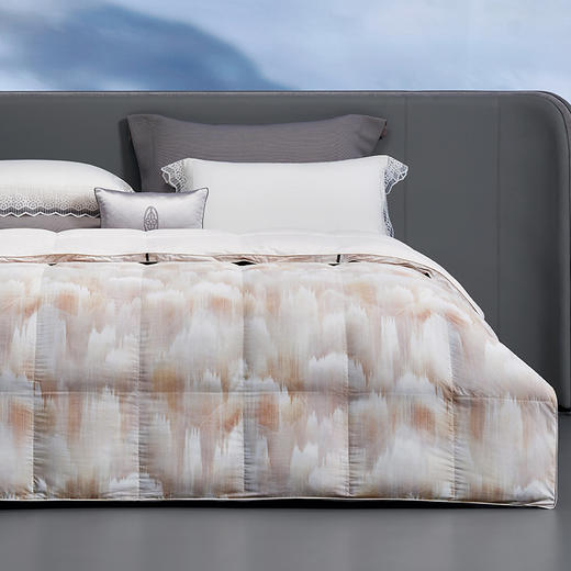 【whinny/惠谊】波兰进口绒95%绒空山芸彩蓬松保暖鹅绒 春秋被 商品图0