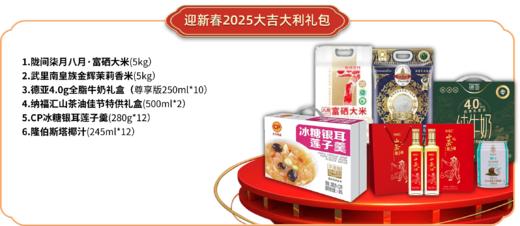 迎新春2025大吉大利礼包 商品图1