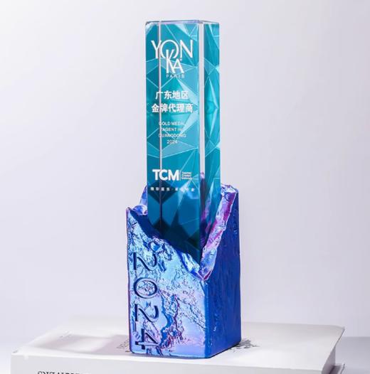 3D打印彩色水晶奖杯定制刻字高档创意年会优秀员工纪念冠军水晶奖杯定做 商品图3