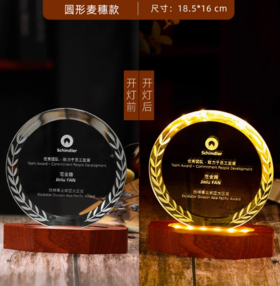 水晶发光奖杯定制定做授权牌创意小夜灯奖杯订制公司颁奖牌纪念品