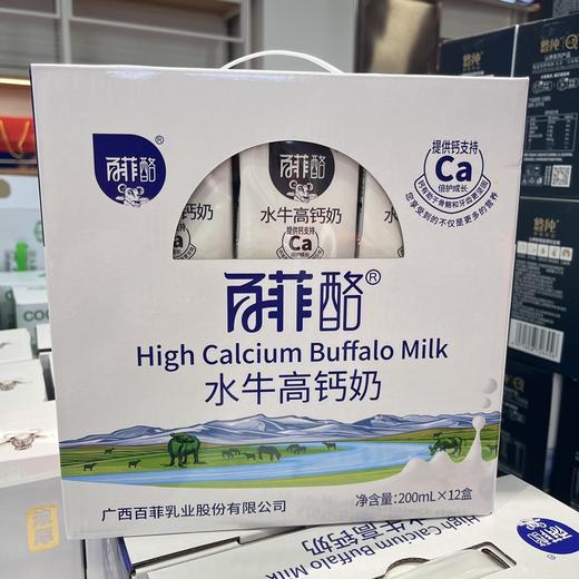 【nq】百菲酪水牛高钙奶 商品图0