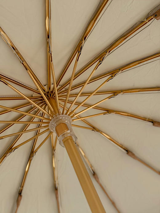 【 长柄渐变透明伞&16骨晴雨款】16骨晴雨伞，晴雨两用、加大伞面还可防晒；长柄伞被小分队称之为颜值款，好看拍照上镜~Mamoru伞 商品图9