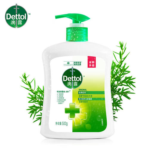 滴露抑菌洗手液经典松木 商品图0