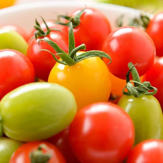 多彩蜜茄 400g/盒 商品图1