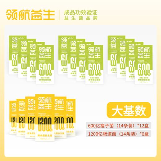 【领航益生28天掉“磅”计划】大基数快乐减重管理12+6组合 商品图0