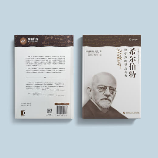 《希尔伯特：数学界的亚历山大》 商品图7