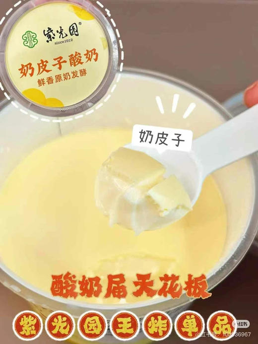 【预售】周五取货：【北京紫光园奶皮子酸奶】北京门店直发，尝鲜价7.99元/杯！限当天取货！代购不接受退款！ 商品图4