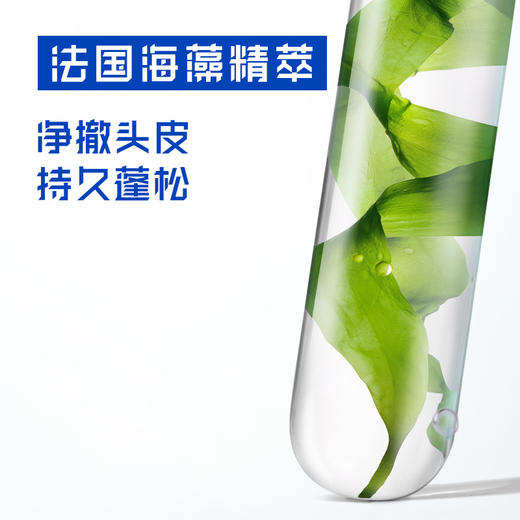 海飞丝去屑头皮护理洗发露控油蓬松型670g 商品图4