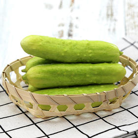 【分仓直发包邮】海阳白玉黄瓜4-4.2斤彩箱装