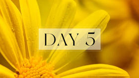 第五天：休息术习练