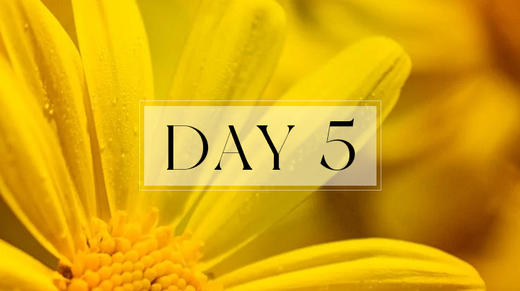 第五天：休息术习练 商品图0