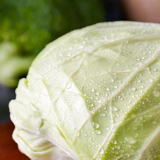 放心莲白 600g/份 安全安心可追溯 伊藤自有品牌 商品图1