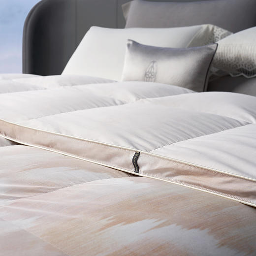 【whinny/惠谊】波兰进口绒95%绒空山芸彩蓬松保暖鹅绒 春秋被 商品图3