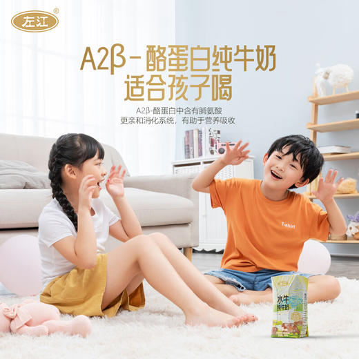 左江a2β-酪蛋白水牛纯牛奶 210ml*10盒/箱 商品图1