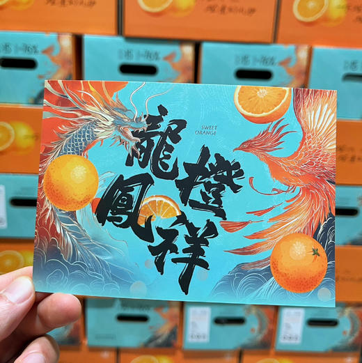 【六椀菱纽荷尔脐橙】橙子味浓郁，甜度高，汁水足，果肉细腻，性价比超高的一款橙子 商品图6