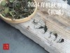 【好茶推荐】2024有机秋寿眉《初晞》，甜花香馥郁、茶汤冰沁可人 商品缩略图1