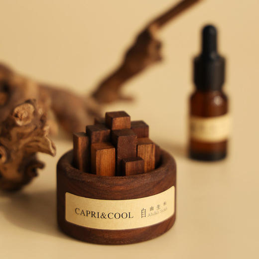 自由生长【扩香木无火香薰】家用室内扩香器 卧室摆件 大自然味道 无火香氛礼物 商品图1