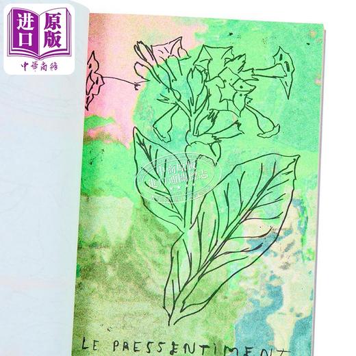 【中商原版】【法文版】浅浅吟唱 Geoffroy Pithon绘制 Riso 印刷 CHANTONNEMENTS 法文原版 Geoffroy Pithon 商品图2