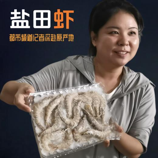 预售 预计12月23日发货 如遇天气回暖发货会另有延迟「自营」山东无棣高虾青素 盐田虾 ( 通过放射性安全复检) 商品图1