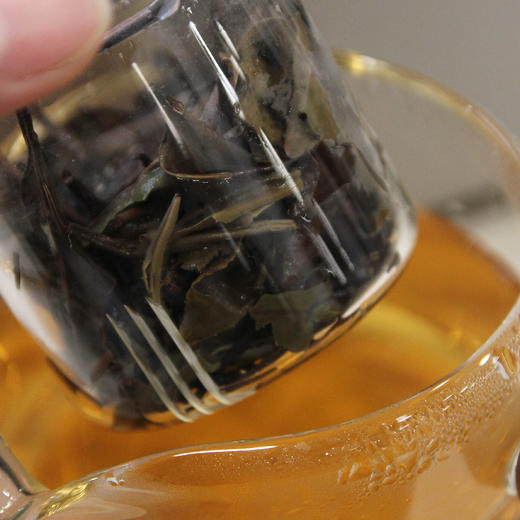 2019老枞寿眉 福建政和白茶千米海拔高山茶 350克量贩装（三联生活爱茶推荐） 商品图5