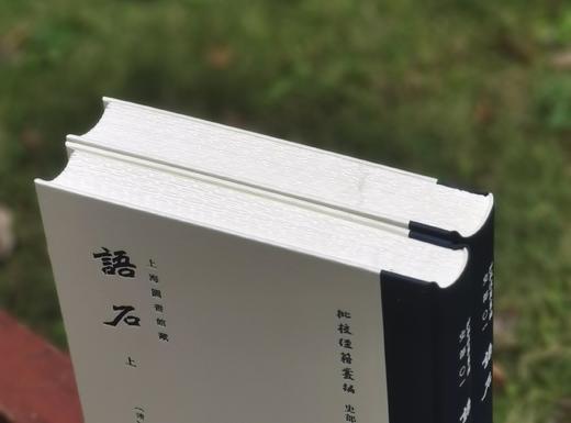 批校经籍丛刊  史部01：《语石》，上下两册，16开，布脊精装，[清]叶昌炽著，顾廷龙批校，浙江古籍出版社2024年11月一版一印，784页，定价598元，毛边本448元，普通版358元。 商品图2