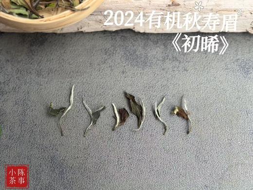 【好茶推荐】2024有机秋寿眉《初晞》，甜花香馥郁、茶汤冰沁可人 商品图4