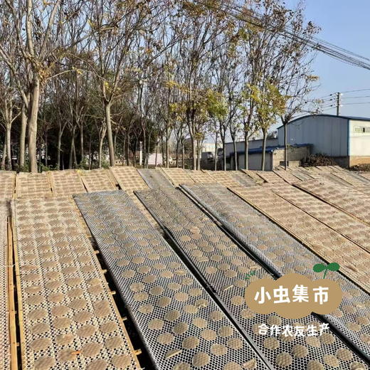 生态山药红薯粉皮 1斤/2斤/4斤 | 合作农友生产，产自河南焦作，生产者：覃怀农场 *【公平贸易农人定价】 商品图11