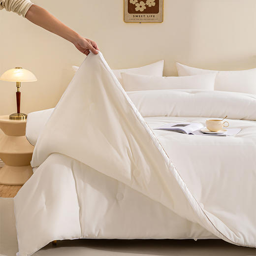 多喜爱 第三代七孔防螨抑菌子母被 商品图1