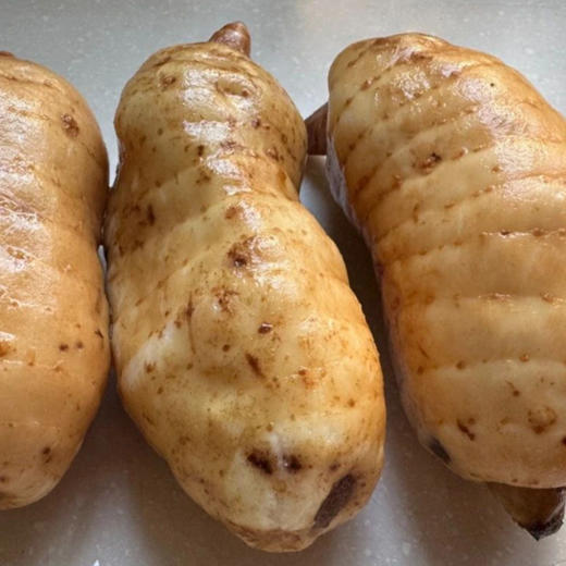 云南昭通天麻 商品图1